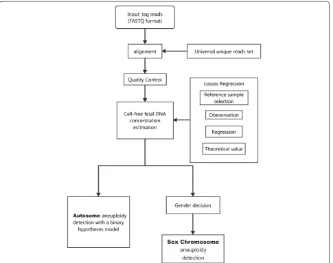 Figure 1 The flowchart of the whole bioinformatics pipeline. A comprehensive bioinformatics pipeline, including effective short readalignment, quality control, data correction, cell-free fetal DNA concentration estimation, and aneuploidy detection.