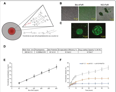 Fig. 1 Illustration of the Bio-nFeR biochemical structure and fluorescence microscopic image of drug-containing micelles.release of fenretinide from Bio-nFeR micelles in HCl solution (pH 1.2), phosphate buffer solution (pH 6.8) and phosphate buffer solutio