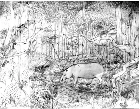 Figure 1. Saltlick drawing by Ignacio Sanchez (2017). 