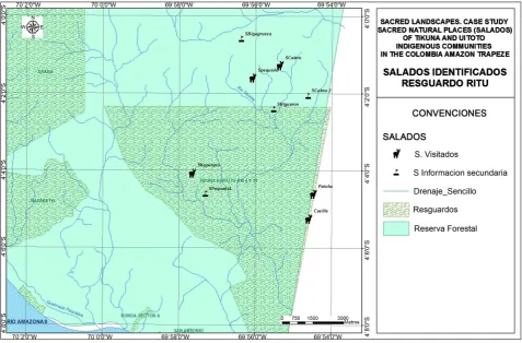 Figure 5. Forest cover in the saltlicks of SMA. Source: the authors.   