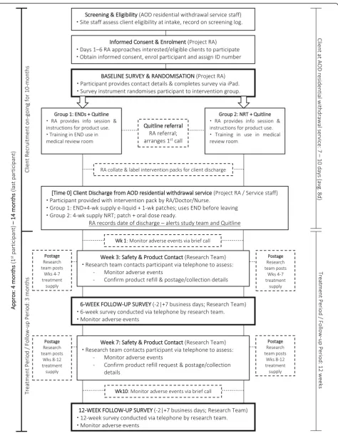 Fig. 2 Flow chart of participant recruitment and follow-up. AOD alcohol or other drugs, END electronic nicotine device, NRT nicotinereplacement therapy, RA research assistant, Wk week
