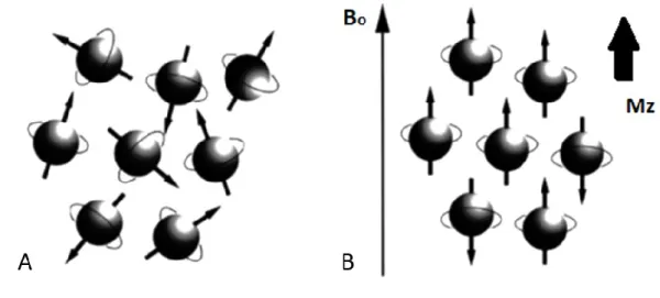 Figure 2.3: Schematic diagram showing the separation of energy levels of  1 H with and without  of an external magnetic field (B 0 )