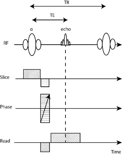 Figure 2.10: Time diagram of the basic gradient-echo sequence produced by a single RF pulse  in conjunction with a gradient reversal