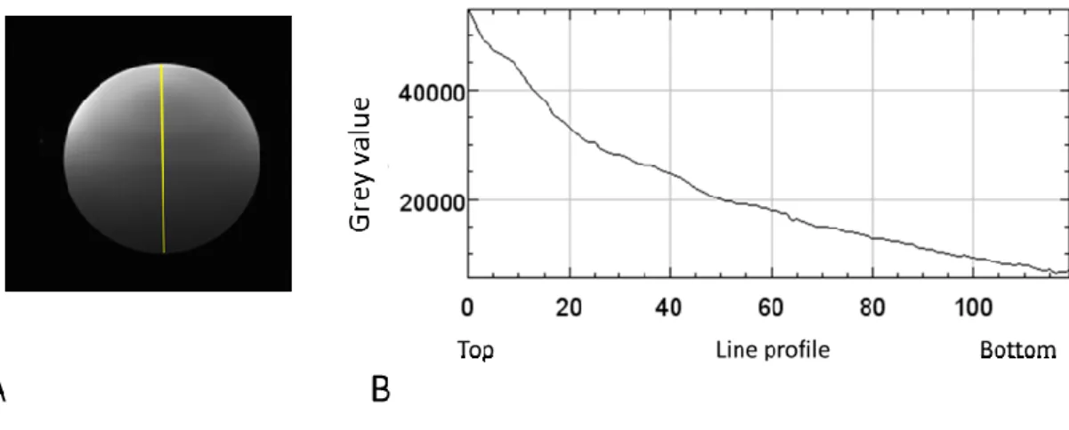 Figure 3.1: (A) Image of a water phantom, with vertical profile line. (B) Plot representing pixels’ 