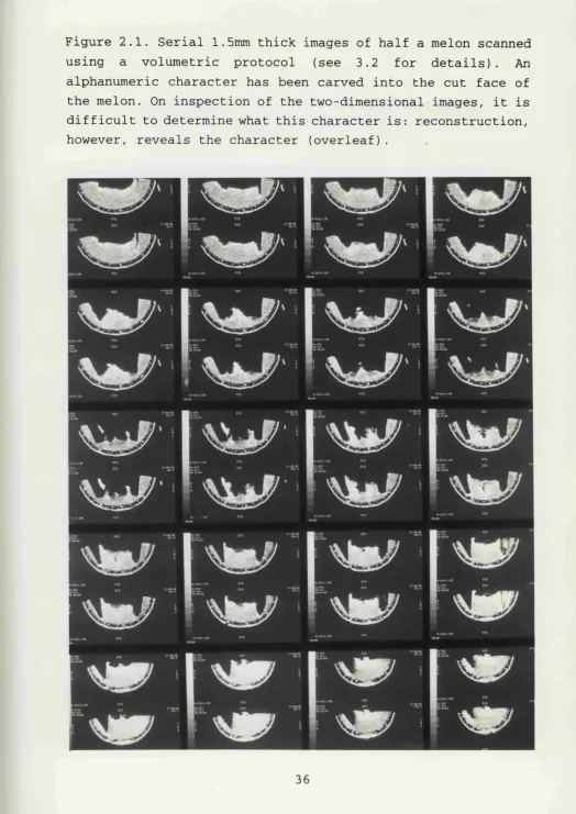 Figure 2.1. Serial 1.5mm thick images of half a melon scanned 