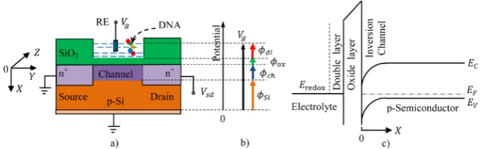 Figure 1. Schematic illustration of the ISFET biosensor (a), distribution of potentials (b), and energy, energy diagram of ISFET in equilibrium (V0g =) (c)