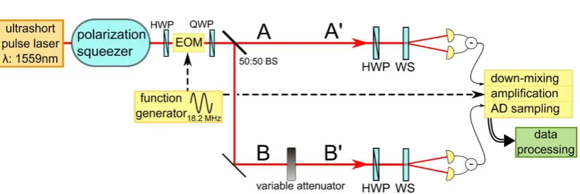 Figure 3.3: Experimental setup for discord increase. EOM: electro-optical modulator, HWP: half-wave plate, QWP: quarter-wave plate, WS: Wollaston prism, BS: beamsplitter