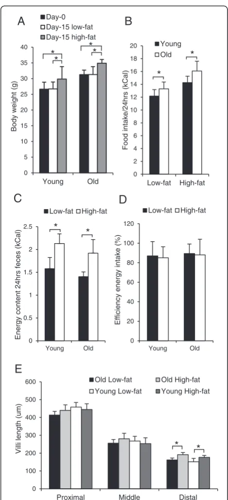 Figure 1 Bodyweight development, efficiency of energy intakeand small intestinal tissue morphology in young and old mice.4 and 21-month-old mice were exposed to a low-fat or a high-fatdiet for 2 weeks