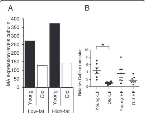 Figure 4 Effect of aging on Cubn expression in the colon.(A) Microarray analysis and (B) Q-PCR analysis revealed decreasedexpression of Cubn in the colon of aging mice that have receivedeither a low-fat or high-fat diet.