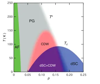 Figure 1.5: Schematic hole-concentration - temperature phase diagram of cupratesuperconductors