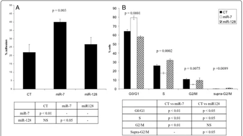 Figure 6 Experimental validation that miR-7 transfection induces changes in cell adhesion while miR-128 transfection induces changes(BME)