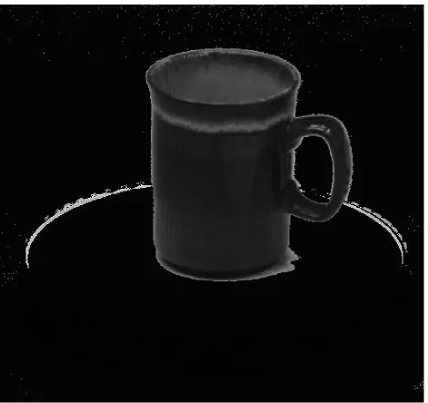 Figure 6: Thresholded image: black binary code = dark gray, white binary code = light