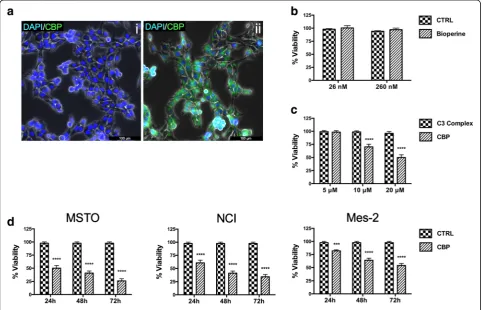 Fig. 1 CBP uptake and effects on cell viability in mesothelioma cells.in dose dependent manner