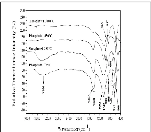 Fig. 3. Infra-red spectrum of the sample of phosphate 1               heated at various temperatures