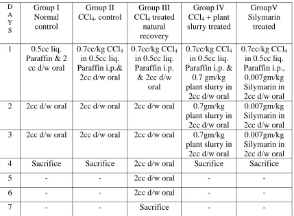 Table ES 1: Daily Doses Regime   