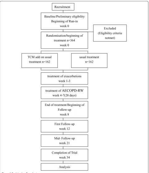 Figure 1 Participation flow chart.