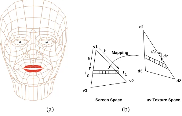 Figure 2: (a) Polygonal representation of the face. (b) Texture mapping.