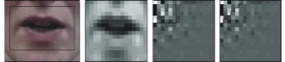 Figure 4: From left to right: original lip image, subsampled 166ROI, DCT coe ×16ﬃcients with square 6×6 selection, and with triangle × 6 selection.