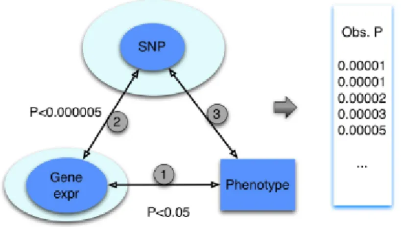 Figure 1.3: The ’triangle” method for integration of genotype, expression, and phenotype data [Gamazon et al., 2013].