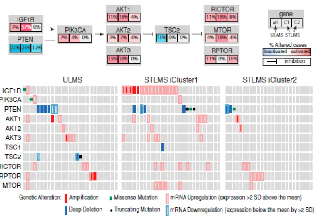 Figure 2.5: iCluster+ Sarcoma analysis