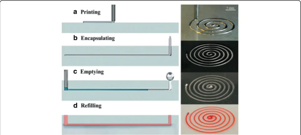 Fig. 5 Schematic diagram of omnidirectional printing of 3D microvascular networks in a hydrogel reservoir:removing the liquefied ink under a modest vacuum, and a deposition of a fugitive ink into agel reservoir to pattern hierarchical, branching networks, b filling the voids induced by nozzle translation with liquid that migrates from the fluidcapping layer, c yield of a chemically cross-linked, hydrogel matrix by photo-polymerizing the reservoir, d, e exposure of the microvascular channels by f fluorescent image of a 3D microvascular network (scale bar = 10 mm), with courtesy of [53]