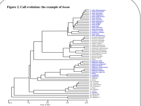 Figure 2. Call evolution: the example of boom 