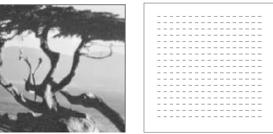 Figure 6: Example of afﬁne ﬂow computation: translation