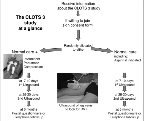 Figure 1 Simplified trial flowchart.