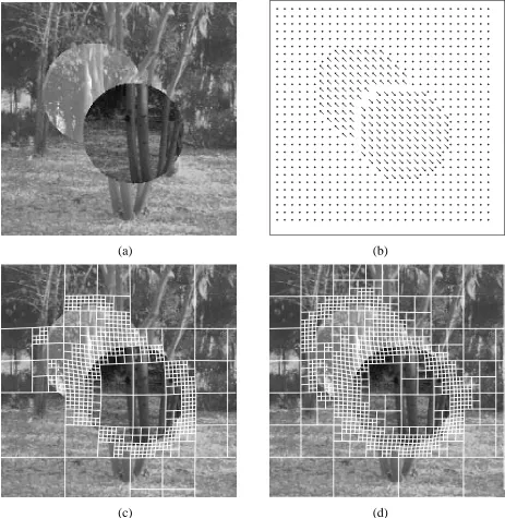 Figure 7: Quadtree spline motion estimation (Two Discs (SRI Trees) sequence): (a) input image,(b) true ﬂow, (c) split technique, (d) merge technique.