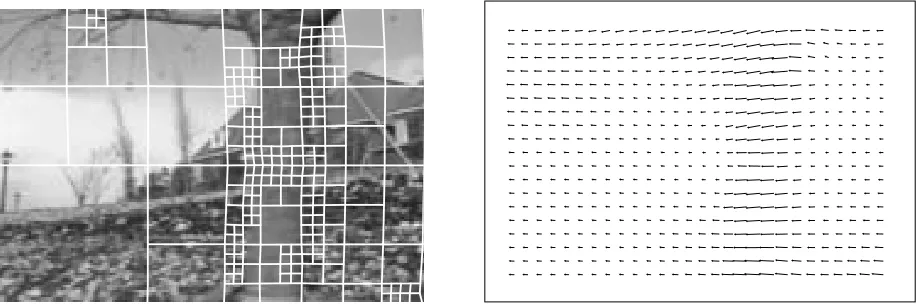 Figure 10: Flower Garden sequence: estimated quadtree and estimated ﬂow, mergings��patches in a 4-level pyramid.