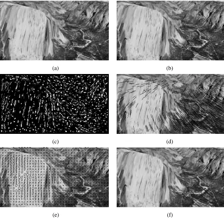 Figure 6: Yosemite (synthetic) sequence: (a) frame 0, (b) Shi-Tomasi tracker, (c) result of mono-