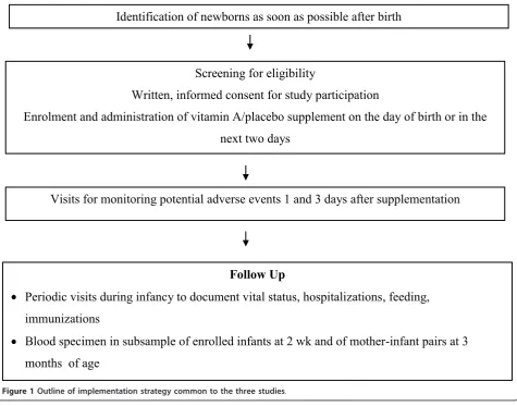 Figure 1 Outline of implementation strategy common to the three studies.