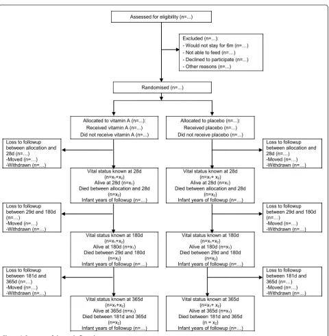 Figure 2 Structure of the study flow chart.