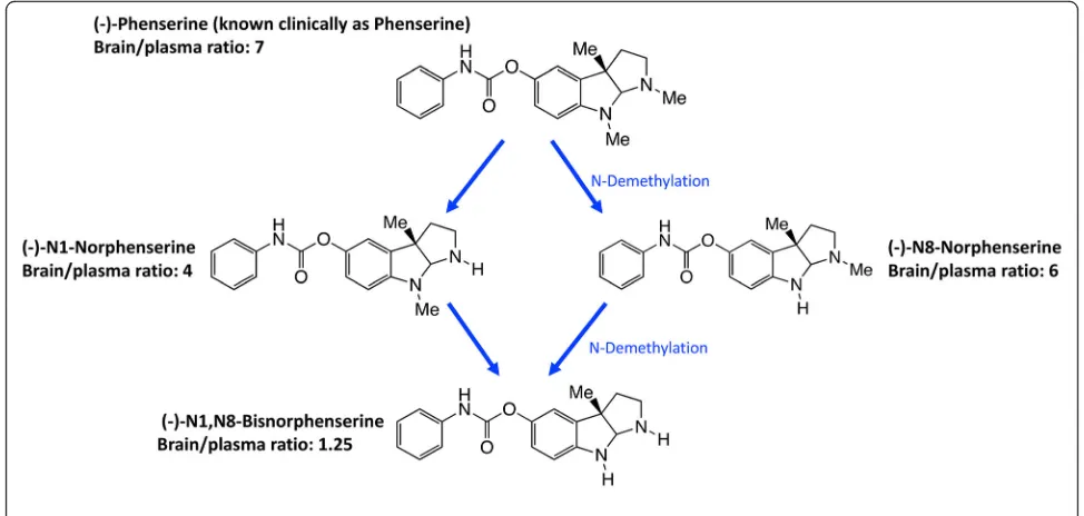 Fig. 3 (−)-Phen is primarily metabolized by N-dethylation to yield (−)-N1- and (−)-N8-norphenserine that then are further N-dethylated to (−)-N1,N8-bisnorphenserine