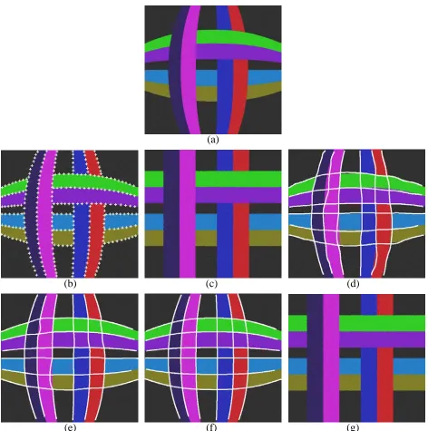 Figure 1: Synthetic image with no image noise: (a) Original image, (b) Manually selected points(299 points), (c) Undistorted image from (b), (d) Manually drawn lines, (e) After applying conven-tional snake algorithm, (f) After applying radial distortion snake algorithm, (g) Undistorted imagefrom (f) (very similar to results from (e)).