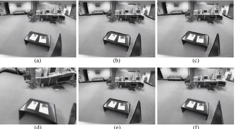 Figure 9: Another example: (a) Original image, (b) Initial snake conﬁguration, and ﬁnal snakeconﬁguration for (c) Conventional snakes, (e) Radial distortion snakes