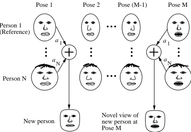 Figure 2: Illustration of the linear object class concept in [47]. The training set is composed offaces of different people (along the vertical axis) assuming the same different poses (horizontallyacross)