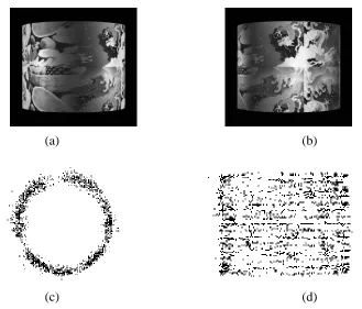 Figure 2: Rotating synthetic cylinder (complete rotation, 40 frames): (a) 1st frame, (b) 5th frame,(c) top view, and (d) side view of recovered 3-D points (2291 points).