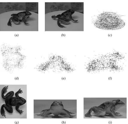 Figure 5: Rotating toy frog (complete rotation, 43 frames): (a) 1st frame, (b) 5th frame, (c) 2260point tracks, (d)-(f) top, front, and side views of recovered 3-D points, (g)-(i) corresponding viewsof the actual toy frog.