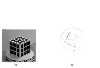 Figure 6: Rotating cube (complete rotation, 48 frames): (a) ﬁrst frame, (b) top view of recovered3-D points (2500 points), (c) side view of 3-D points.