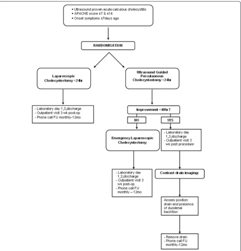 Figure 1 Flowchart of study outline of included patients.