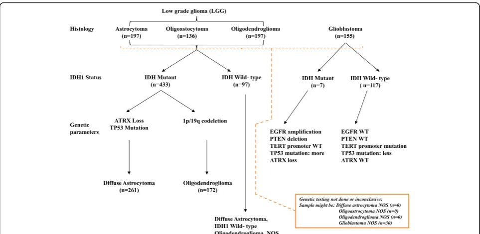 Fig. 1 Overview of the 2016 WHO CNS tumor classification-based algorithm with the number of patients from TCGA dataset that is used in thepresent study