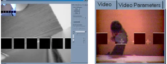 Figure 3. Two views of the video sensor. On the left there are six kernels evenly spaced, while on the rightonly four