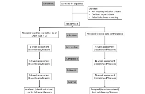 Fig. 1 Consolidated Standards of Reporting Trials (CONSORT) flow diagram of eligibility screening to the final follow-up assessment