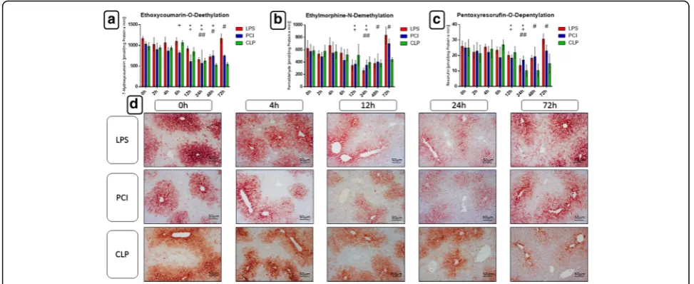 Fig. 5 Biotransformation capacity in the livers. At the time point indicated, mice were sacrificed and the livers were collected for biochemical andtion [PROD] (histological analysis