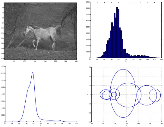 Figure 8: An image from the Corel database (top left), its histogram (top right), andprojections of the corresponding1ä -dimensional embedded mixture onto the DC sub-space (bottom left), and the subspace of the two lower frequency coefﬁcients (bottomright).