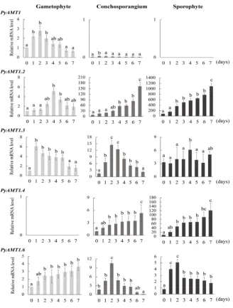 Figure 7. Differences in nitrogen starvation-induced expression patterns among PyAMT1 PyAMT1 genes by qRT-PCR