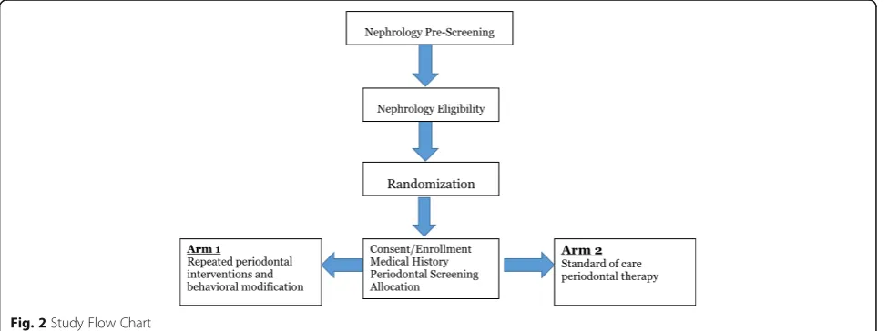 Fig. 2 Study Flow Chart