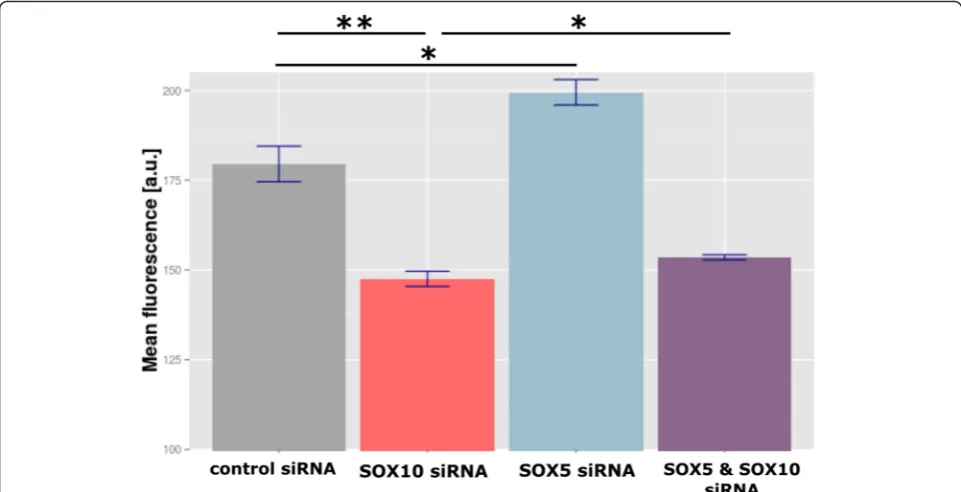 Table 2 Effects of SOX5 siRNA on cell viability and invasion