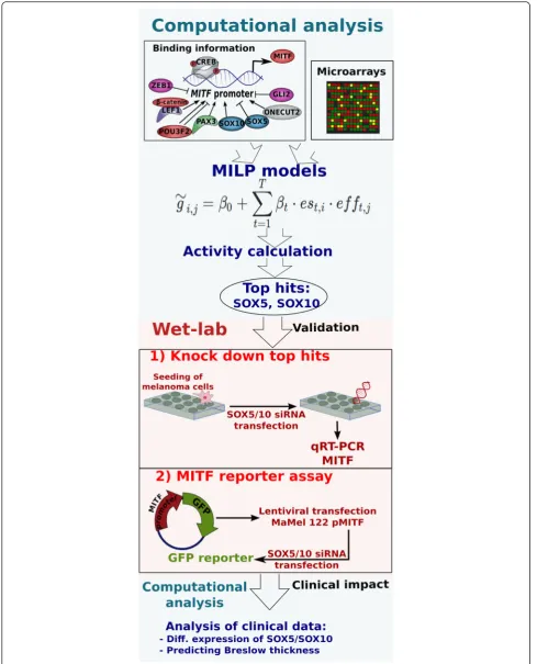 Fig. 1 (See legend on next page.)